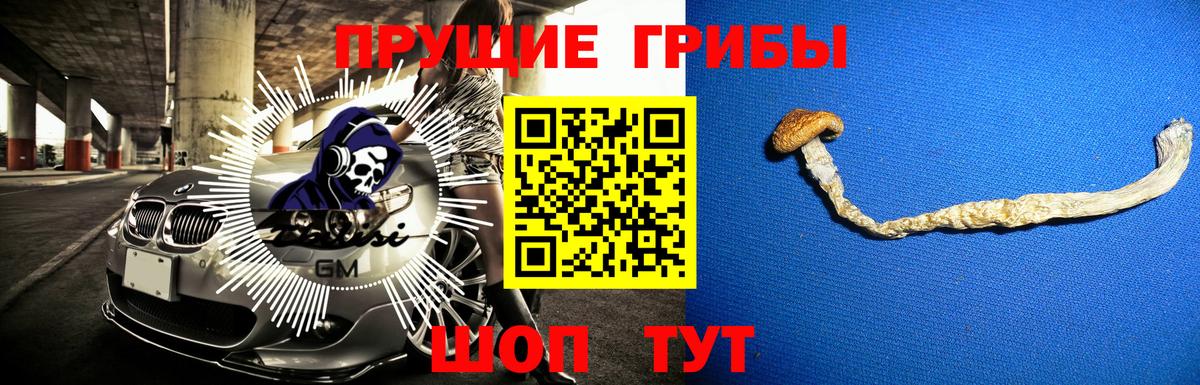 Псилоцибиновые грибы мицелий Кимры